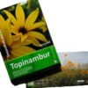 geschenk-set-buch-gutschein-ein-tolles-geschenk-fuer-diabetiker-gartenliebhaber-und-gourmets-detailansicht